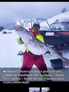 Териберка, Баренцево море — уточним план