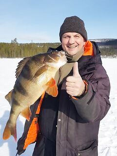Слева «шестикилограммовый» окунь из сети, справа честный 5400 — весам верим, мифам нет