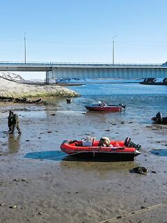 Апрель—май: сидели с 25.04, окно на пару дней — по пару ящиков за выход успели