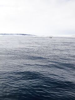 Дорогу открывали до 06.05, дали ход на пару дней и снова закрыли — пришлось уехать