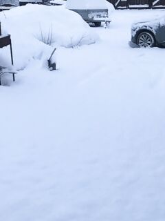 Снежок подсыпало у Териберки, друзья: кто едет — не удивляйтесь, берите запас