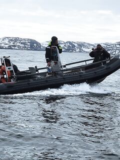 Штиль в Териберке: уловы неплохие, видел трофейную треску «на 50 кг»