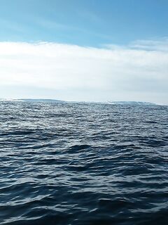 Опасова, Воронька, Лудки нравятся, а в «Терибоньку» с 2020 не езжу; Кильдин раздал