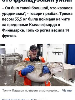Мурманский форум: читал про треску 55 кг — сравниваю с практикой