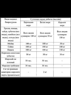 Северный бассейн: урезали суточные лимиты на ежа и гребешка, Териберка взвилась