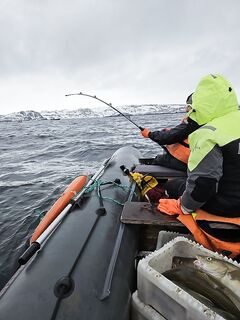 Два дня в Териберке — «огонь»: уехал в Москву, друзья остались ещё на пару
