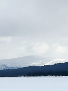 Снег сыплет и белое безмолвие: снежики по Джеку Лондону вместо моря