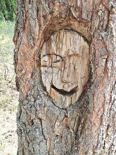 Китайцы уже доезжают на авто до Териберки: хотят рыбачить