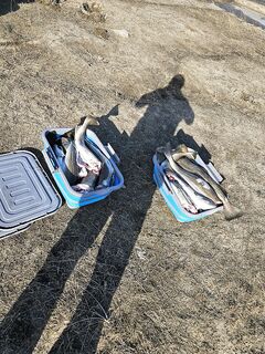 Териберка: два дня улова, первый не фотографировали — отчёт короткий