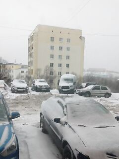 Баренцево море — «погода с ног сшибает», комментарий по ветру