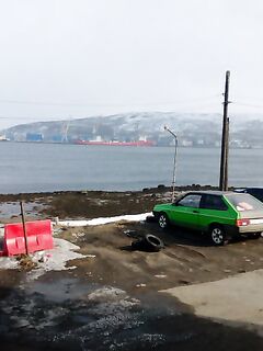 Баренцево море, Мишуково — пирс, вид на залив и грибы рядом