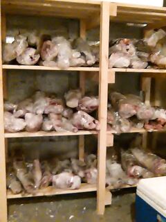 Баренцево море — фото с телефона, коротко по обстановке