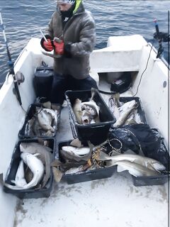 «Оно?» — уточнение по теме: да, про этот разговор и речь