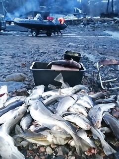 «Не скучай, Захарыч»: готовься серьёзно, смотри фото и видео