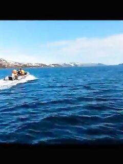 «Поеду позже»: тему по Ура-Губе скрыли — непонятно зачем