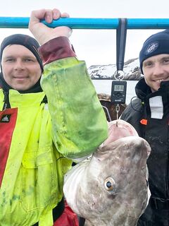 Баренцево море — без комментариев, молчаливая отметка