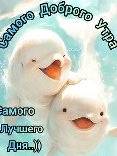 Коптят «с головой»: способ засолки без мудрёности