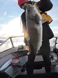 Норвегия уже хвастается 2025, Кольский оживает с апреля