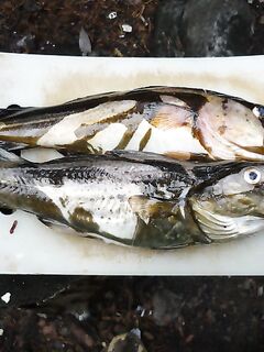 Пустая вставка: технические символы из поста убраны