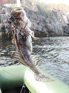 Немного фото с выезда: Чупа — острова — стоянки