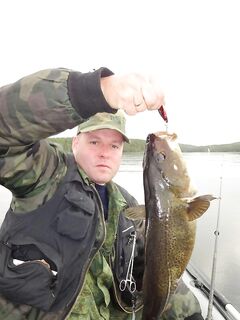 Спасибо за видео и фото: про пескожила, глубины и «ветродуй»