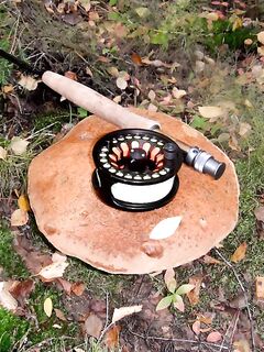 Наша пятёрка в Круглой бухте: еда, роли и немного грибов