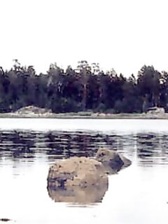 Чупа — Медвежий и Малый Медведок, как зовут острова на Белом море