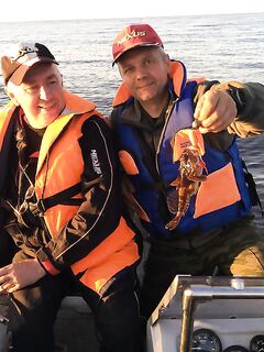 Карелия, блок «Рыбалка»: виброхвост найден в желудке трески