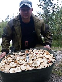 Карелия, не ругайтесь — грибы, кряква и день без выстрелов в лесу