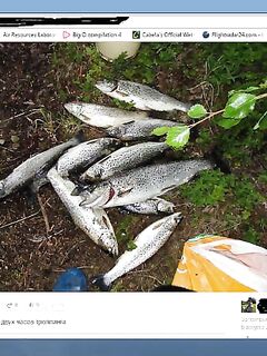 Белое море, Карелия: «вот такие кумжаки» — лаконичная радость