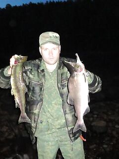 Белое море, Карелия — ответы про креветку, крабов и Горбушу-2011