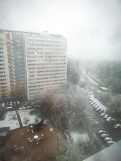 Снег и пушистость: ощущение, что лето отменяется