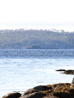 Глубины и камни: у мужиков поплавки «правильные», шутка понятна