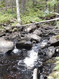 Река Никольская в межень: для наглядности о низкой воде