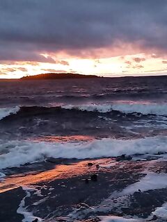 Никольская — Пежостров — Сидоров: белухи, мелко в отлив между Кишкиным и Керетью