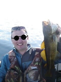 Северодвинск и Пертоминск: треска в 40 км от города, Чупа — сравнение по годам