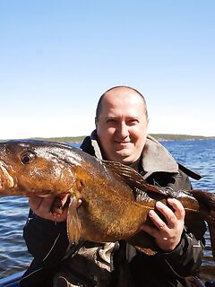 Крупняк против мелочи: у вас солидно, у нас дёрг мелкий