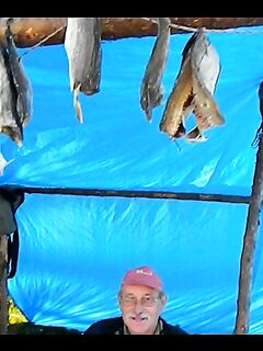 Сохранность улова: вяленая рыба — объедение на стоянке