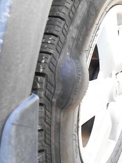 Заплыв Кереть — Борщовец: карты, «Кола», одна ямка и мидии с морской капустой