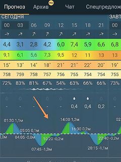 Скриншот эхолота: стрелка указывает шкалу приливов и отливов