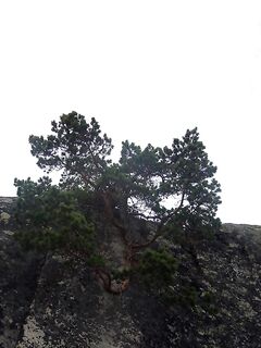 Белое море, Карелия: немного фото с поездки для оживления темы