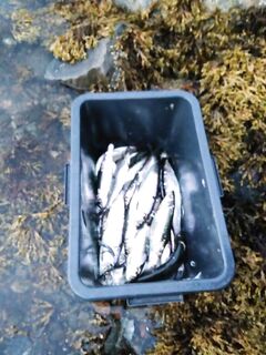 Чупа — Чкаловские острова: переслал фото по просьбе Valentin