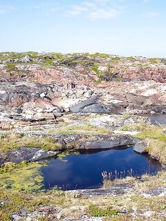 Фото для оживления темы — Белое море держит планку