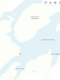 Никольская неделя: треска до двух, медведь у костра и «смотроскоп»