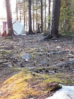 Пять друзей, три мотора и банки с треской — отпуск удался