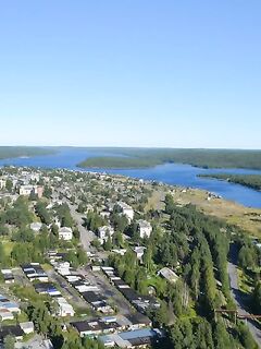 Мишки в Чупе гуляли осенью — детей провожали до школы
