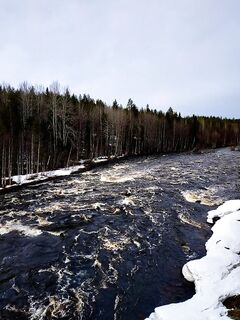Порог Варацкий на обратном пути — шум воды и запах хвои