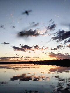 Высокая вода на озере рядом: сети сожгли, рыбу отпустили