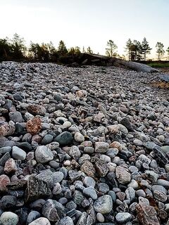 Белое море — мечта строителя с юга и северная солёная правда