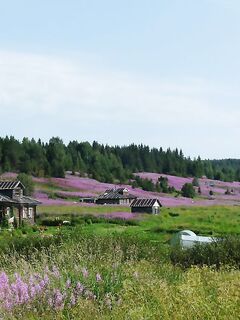 Дорога на Кереть и спуск катера, прилив решает — заметка 2017 года